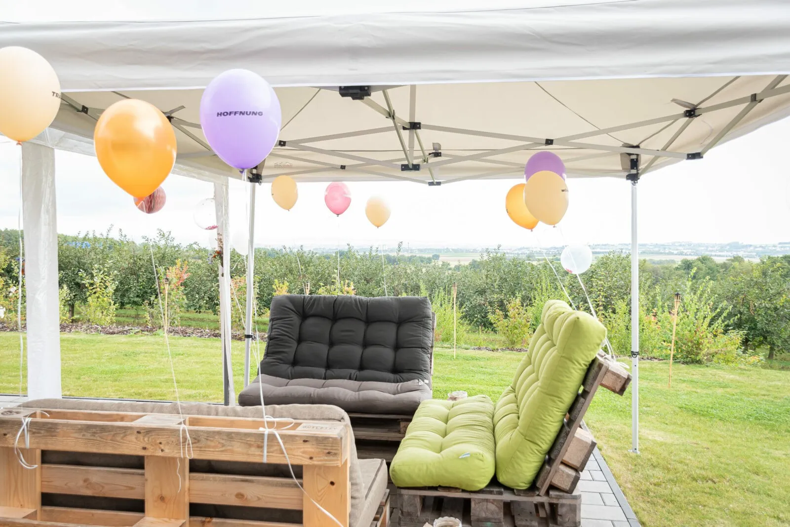 Blick auf die Weinberge im Weingut Bugner