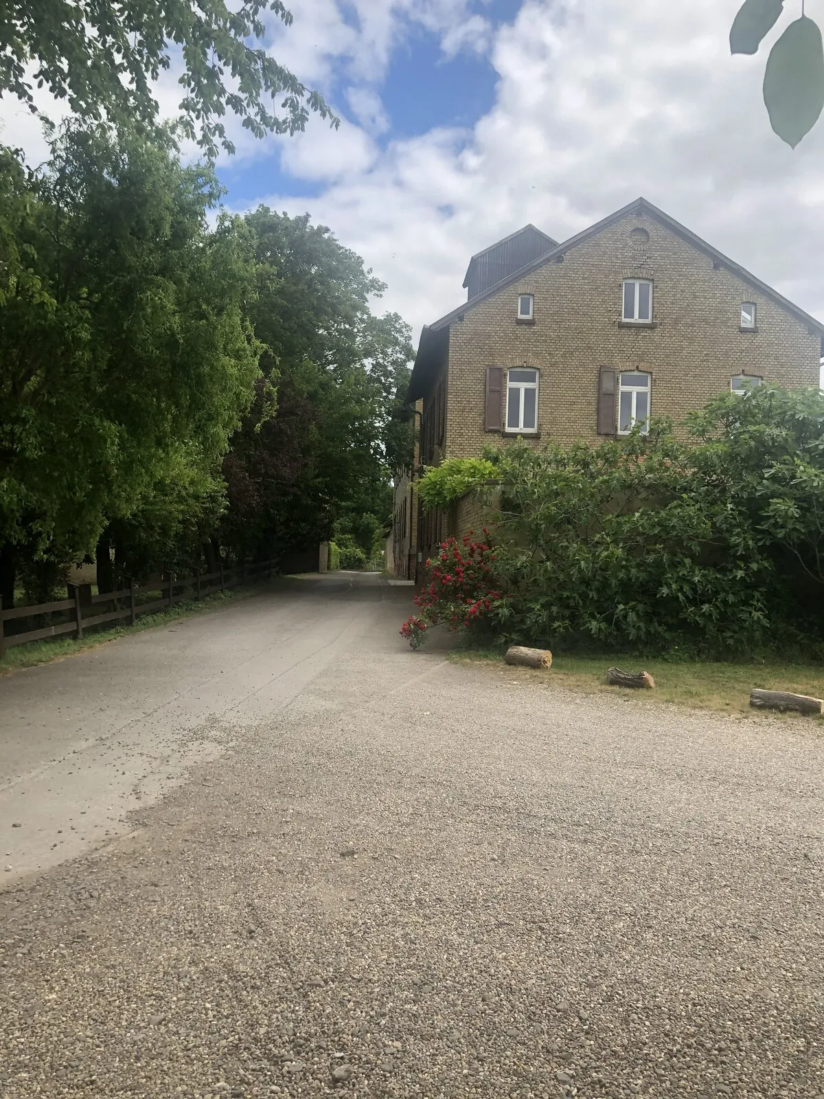 Zeremonievorbereitung auf der Wiese im Hofgut Heidesheim