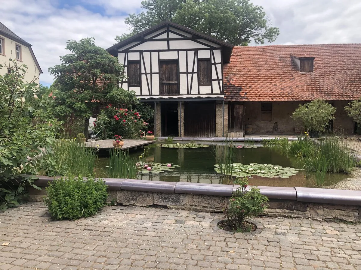 Hochzeitsgesellschaft beim Sektempfang