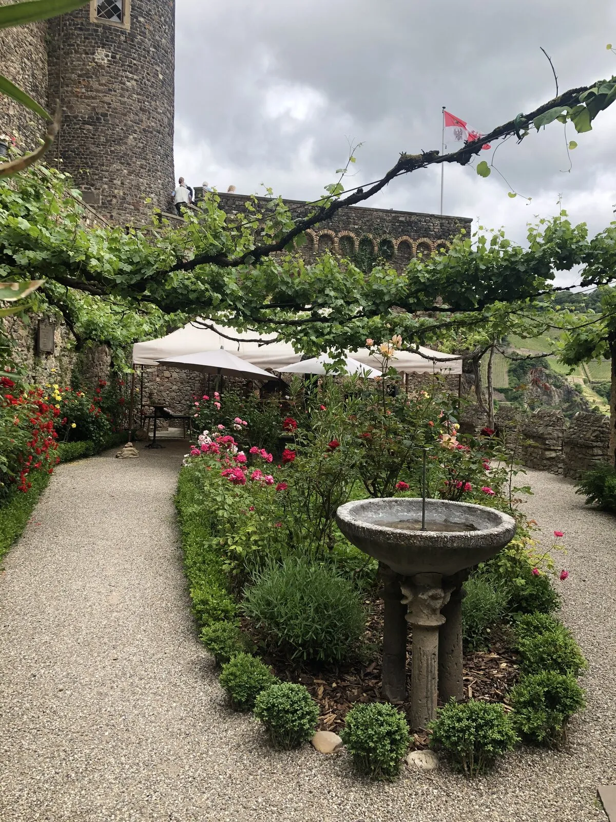 Blick auf das Rheintal von der Burg Rheinstein