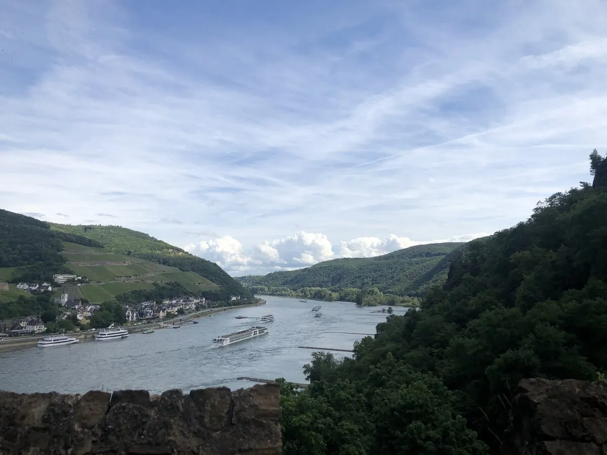 Traubogen im Rosengarten der Burg Rheinstein