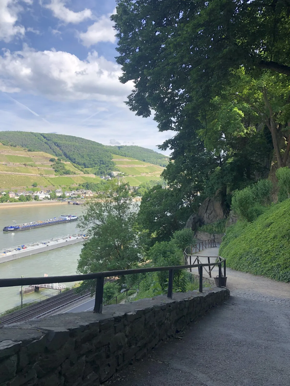 Brautpaar vor der Kulisse der Burg Rheinstein