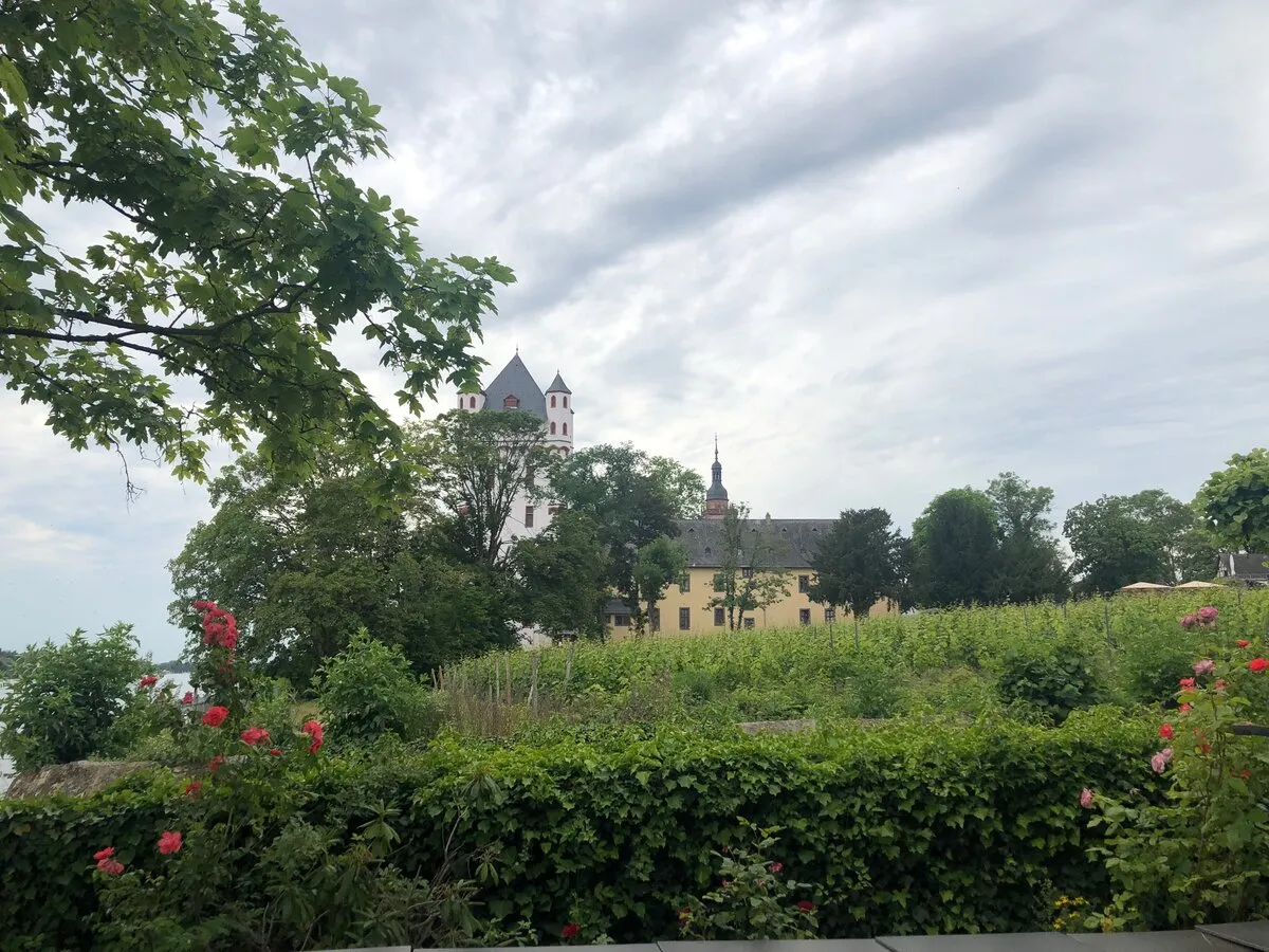 Hochzeitsgesellschaft im Garten der Burg Crass