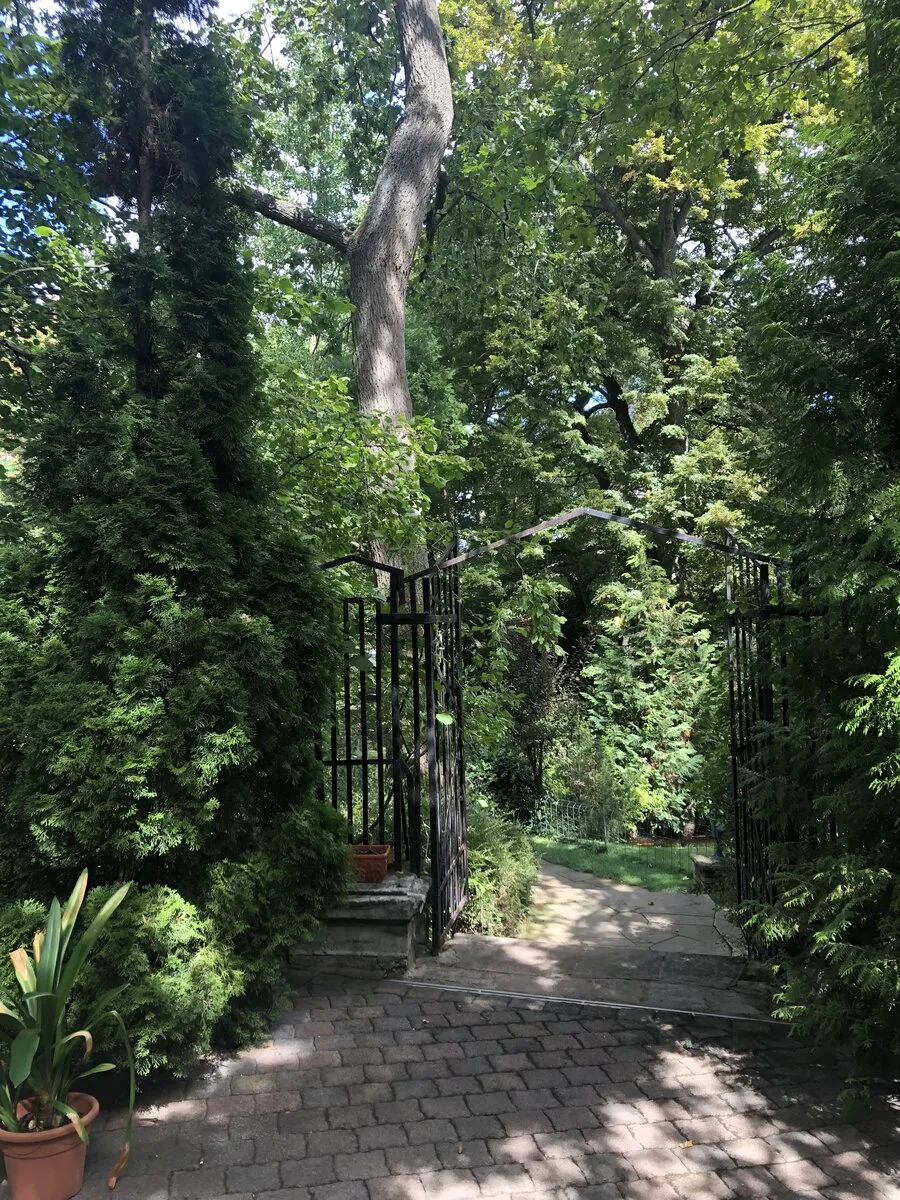 Parkanlage des Junghof mit Trauung unter freiem Himmel