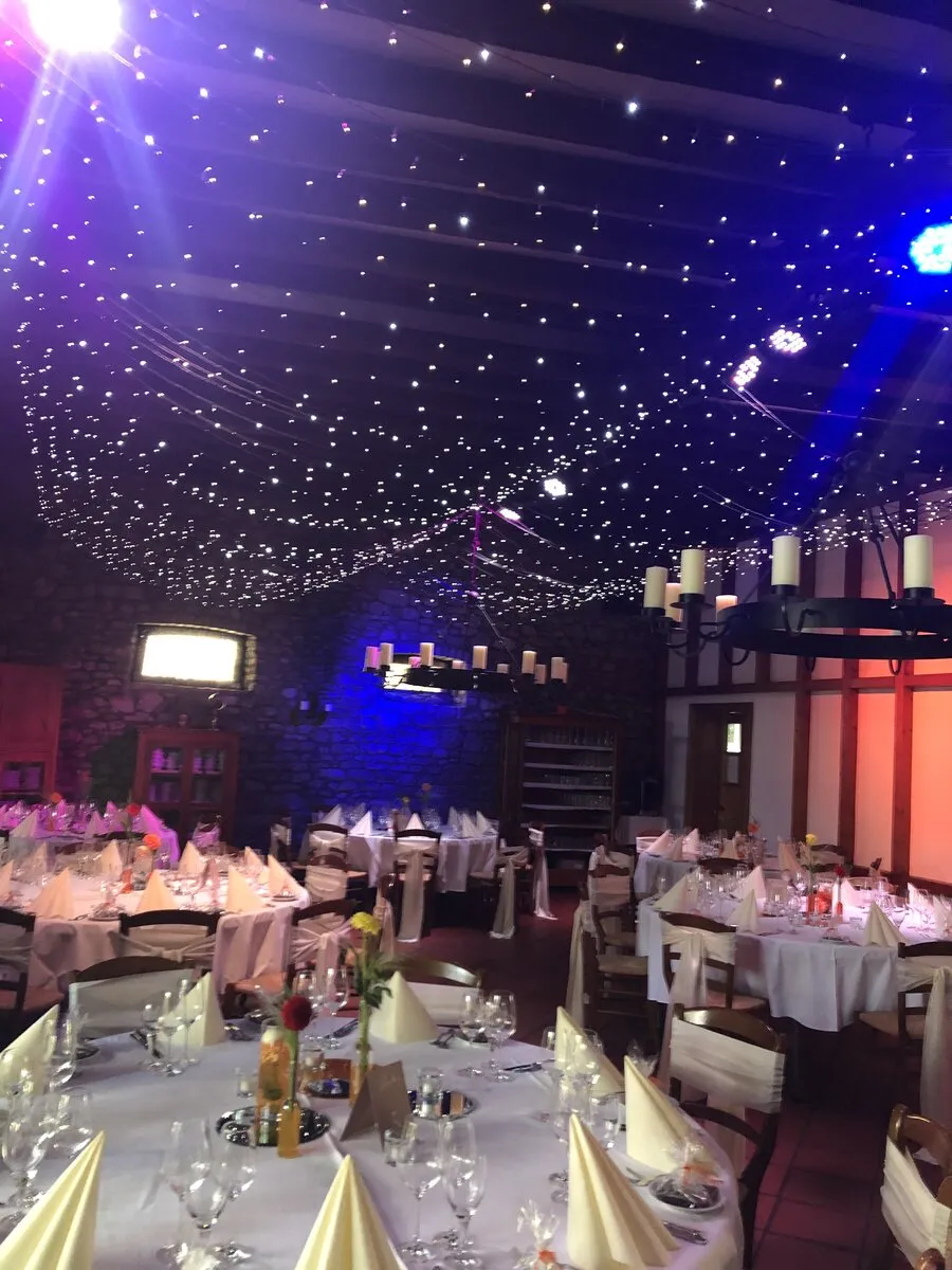 Hochzeitsgesellschaft im Park des Junghofs