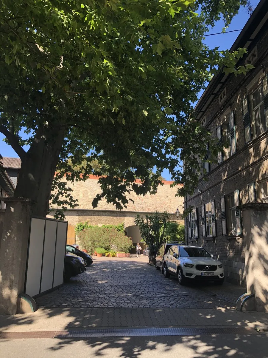 Romantische Abendstimmung im Junghof Undenheim