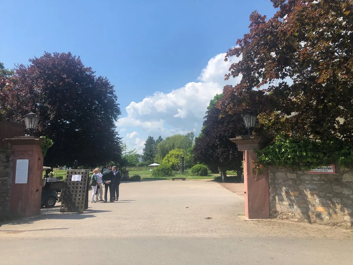 Gäste bei der freien Trauung im Gutspark