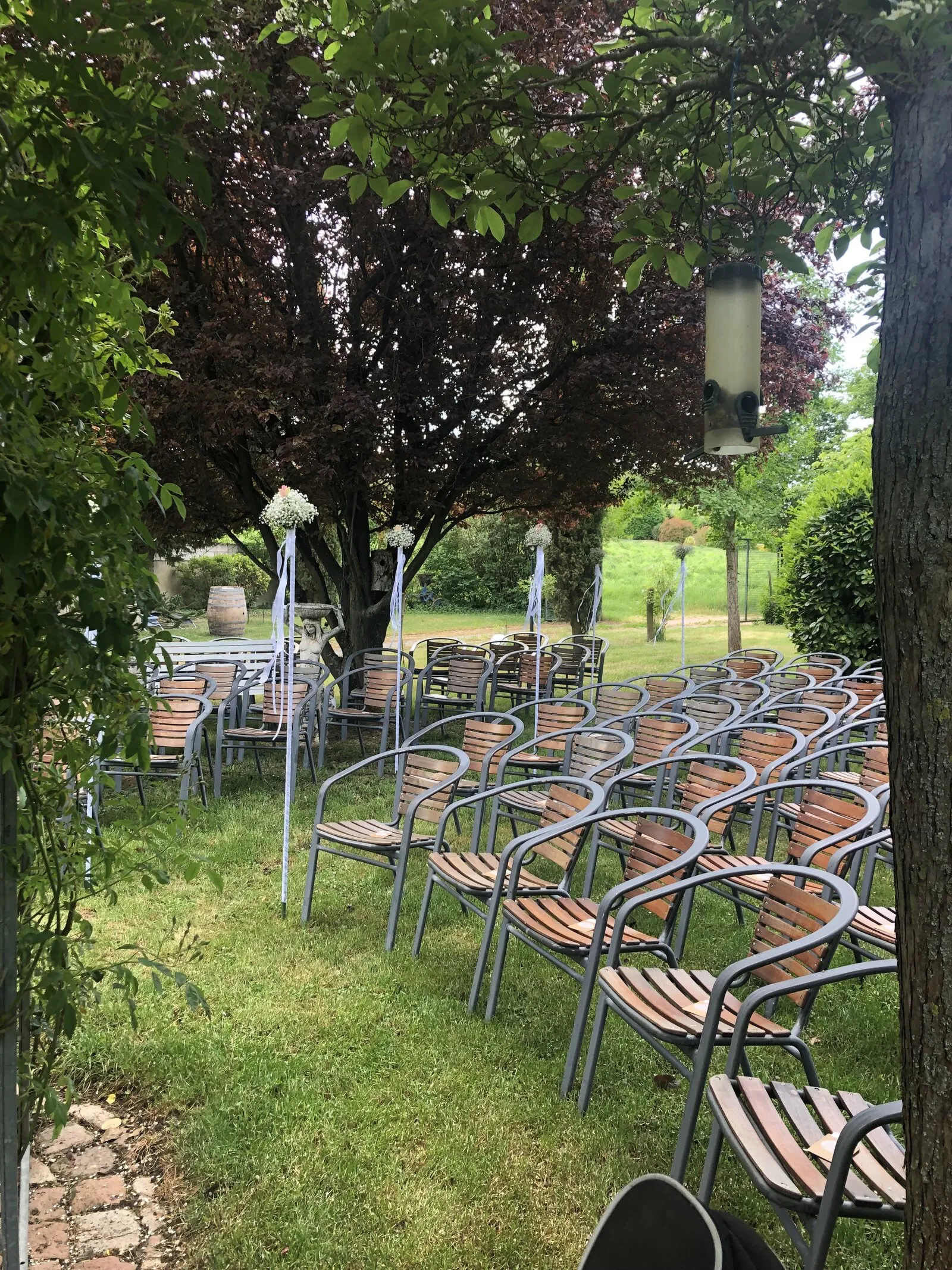 Weingut Möbus Siefersheim - freie Trauung im Grünen