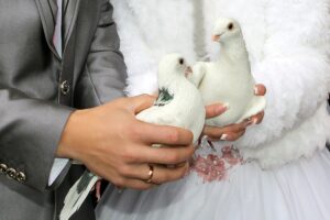 Hochzeitstauben bei einer freien Trauung