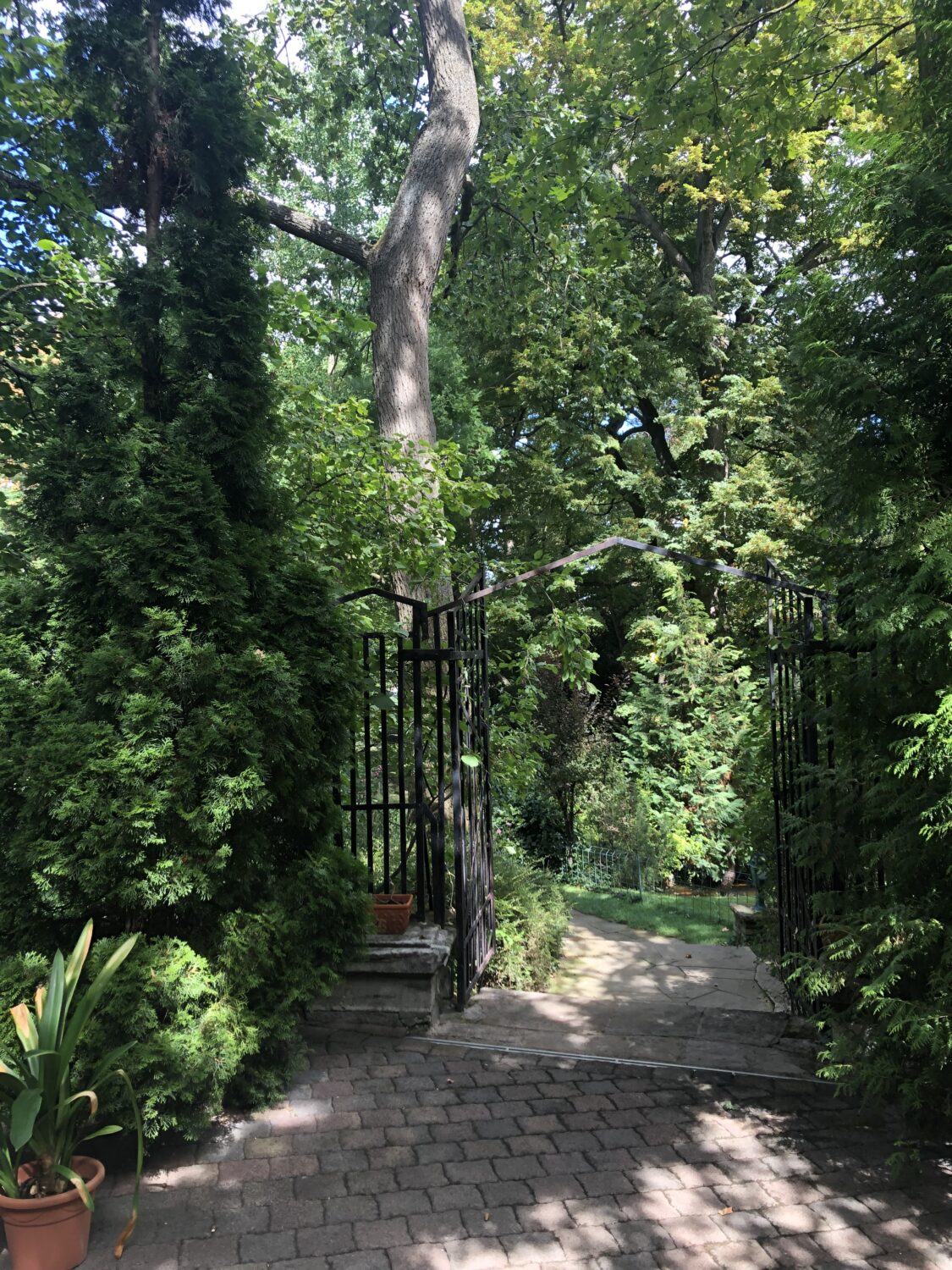 Junghof Undenheim - freie Trauung
